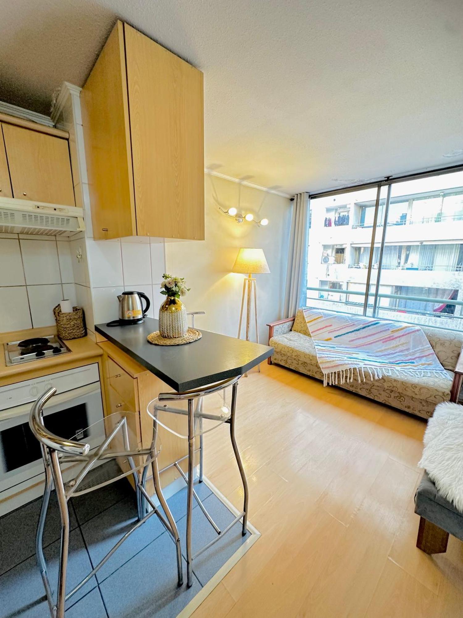 Apartamento En Centro Santiago